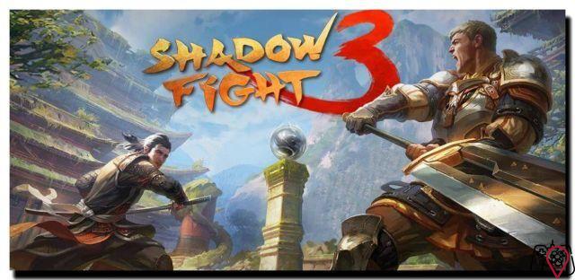 Quanti MB spende Shadow Fight 3?